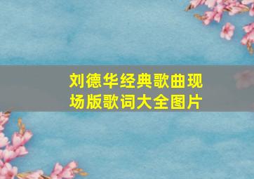 刘德华经典歌曲现场版歌词大全图片