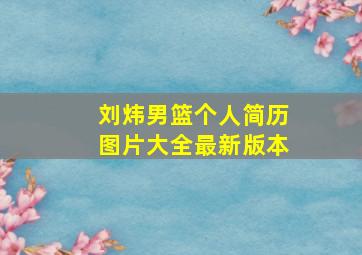 刘炜男篮个人简历图片大全最新版本