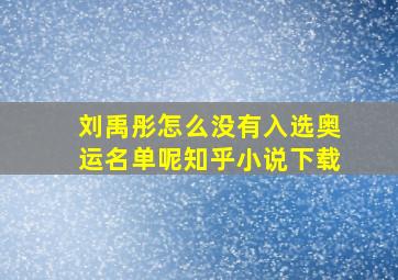 刘禹彤怎么没有入选奥运名单呢知乎小说下载