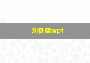 刘铁猛wpf