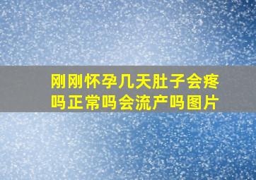 刚刚怀孕几天肚子会疼吗正常吗会流产吗图片