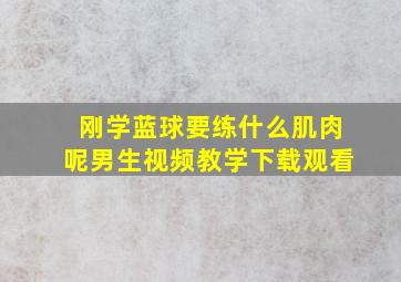 刚学蓝球要练什么肌肉呢男生视频教学下载观看