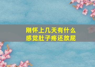 刚怀上几天有什么感觉肚子疼还放屁