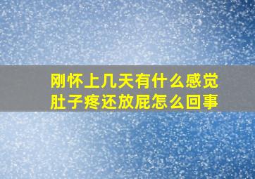 刚怀上几天有什么感觉肚子疼还放屁怎么回事