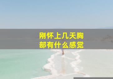 刚怀上几天胸部有什么感觉