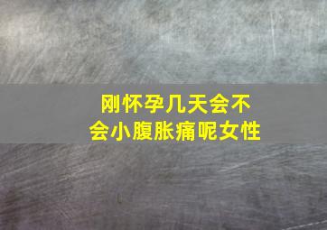 刚怀孕几天会不会小腹胀痛呢女性