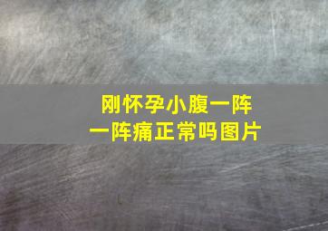 刚怀孕小腹一阵一阵痛正常吗图片