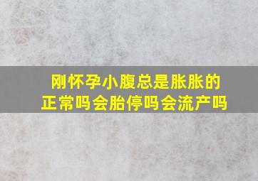 刚怀孕小腹总是胀胀的正常吗会胎停吗会流产吗