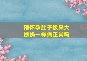 刚怀孕肚子像来大姨妈一样痛正常吗