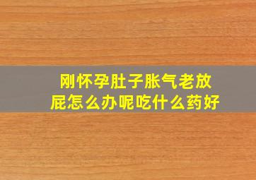 刚怀孕肚子胀气老放屁怎么办呢吃什么药好