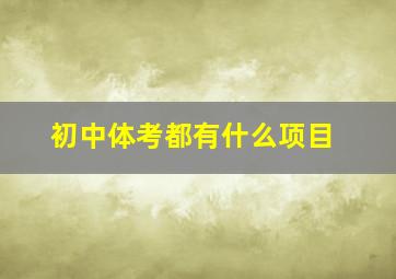 初中体考都有什么项目