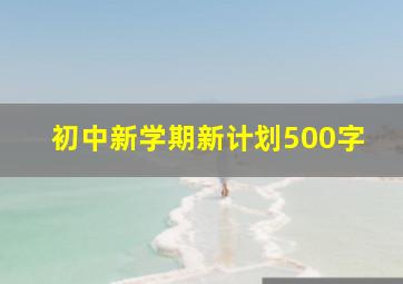 初中新学期新计划500字