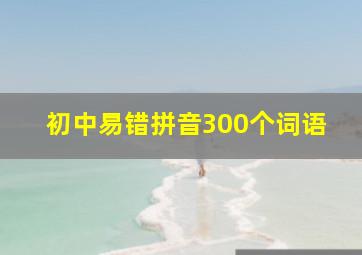 初中易错拼音300个词语