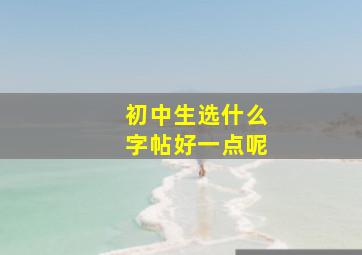 初中生选什么字帖好一点呢