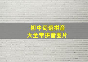 初中词语拼音大全带拼音图片