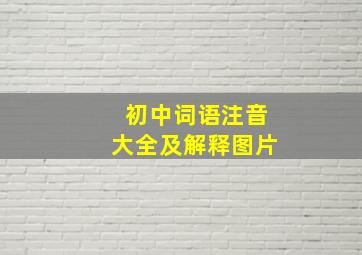 初中词语注音大全及解释图片