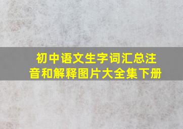 初中语文生字词汇总注音和解释图片大全集下册