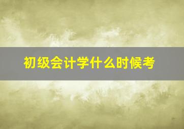 初级会计学什么时候考