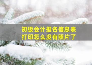 初级会计报名信息表打印怎么没有照片了