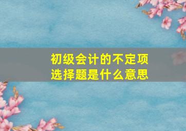 初级会计的不定项选择题是什么意思