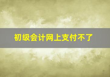 初级会计网上支付不了