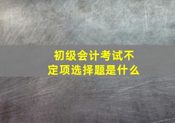 初级会计考试不定项选择题是什么