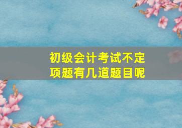 初级会计考试不定项题有几道题目呢