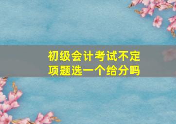 初级会计考试不定项题选一个给分吗