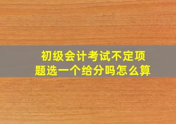 初级会计考试不定项题选一个给分吗怎么算