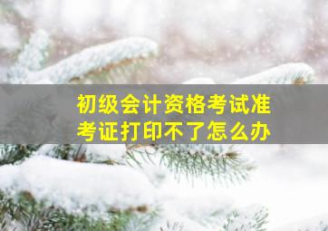 初级会计资格考试准考证打印不了怎么办