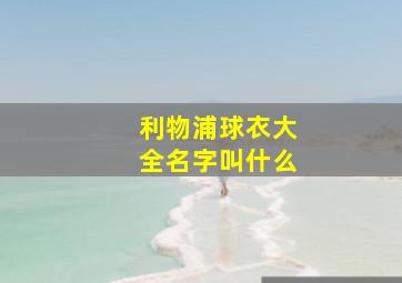 利物浦球衣大全名字叫什么