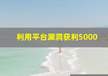 利用平台漏洞获利5000