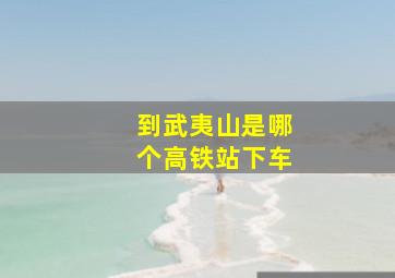 到武夷山是哪个高铁站下车