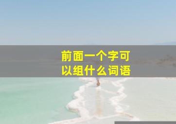 前面一个字可以组什么词语