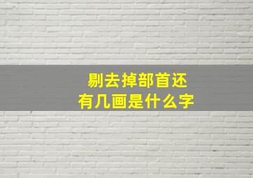 剔去掉部首还有几画是什么字