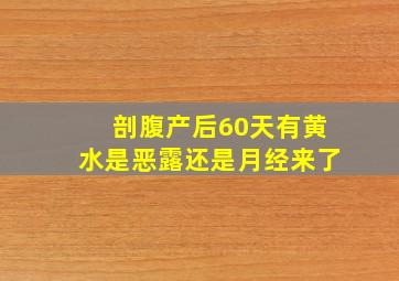 剖腹产后60天有黄水是恶露还是月经来了