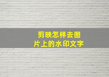 剪映怎样去图片上的水印文字