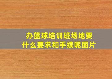 办篮球培训班场地要什么要求和手续呢图片