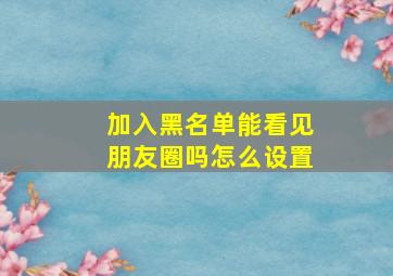 加入黑名单能看见朋友圈吗怎么设置