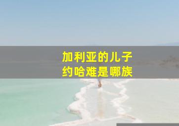 加利亚的儿子约哈难是哪族