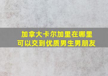 加拿大卡尔加里在哪里可以交到优质男生男朋友