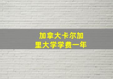 加拿大卡尔加里大学学费一年