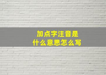 加点字注音是什么意思怎么写