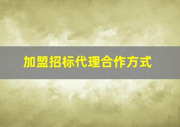 加盟招标代理合作方式