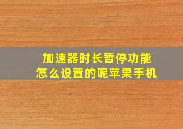 加速器时长暂停功能怎么设置的呢苹果手机