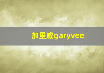 加里威garyvee