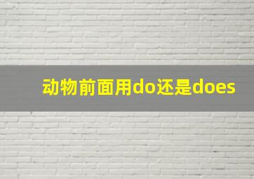 动物前面用do还是does