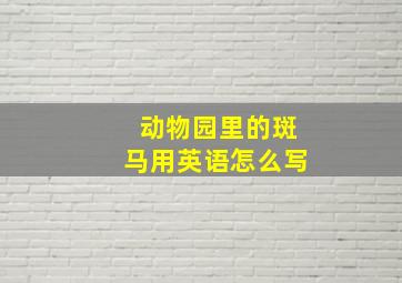 动物园里的斑马用英语怎么写