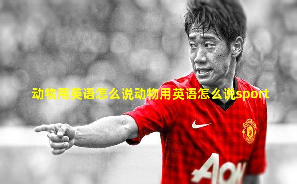 动物用英语怎么说动物用英语怎么说sport