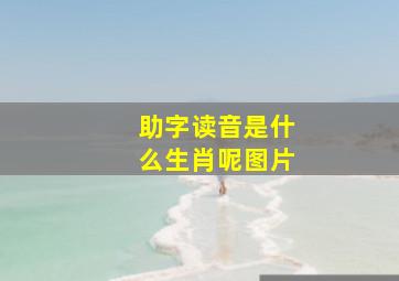 助字读音是什么生肖呢图片